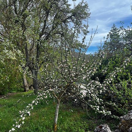 El Pecu Casa Rural Starfamiliar Bustillo Del Paramo المظهر الخارجي الصورة