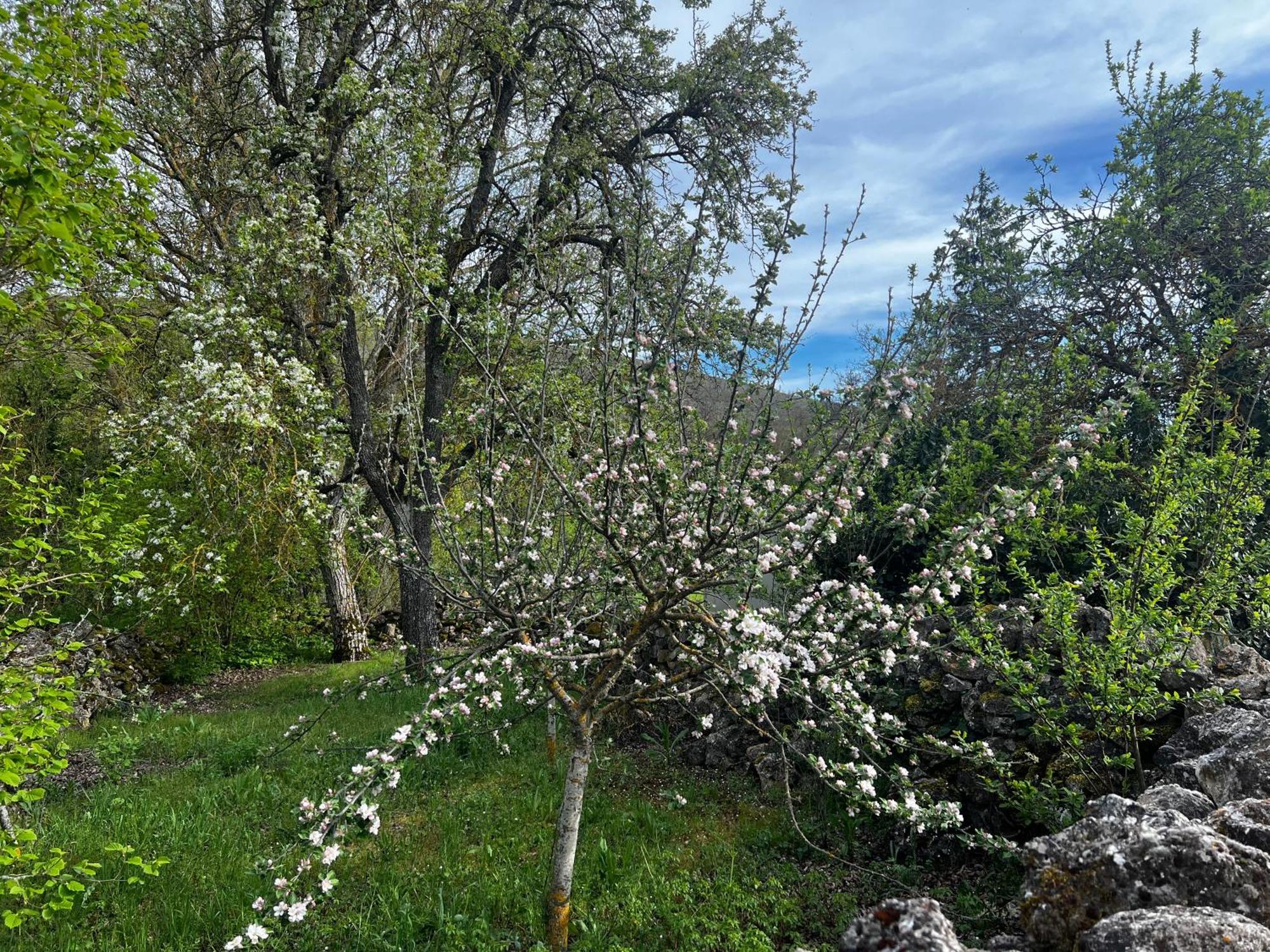 El Pecu Casa Rural Starfamiliar Bustillo Del Paramo المظهر الخارجي الصورة